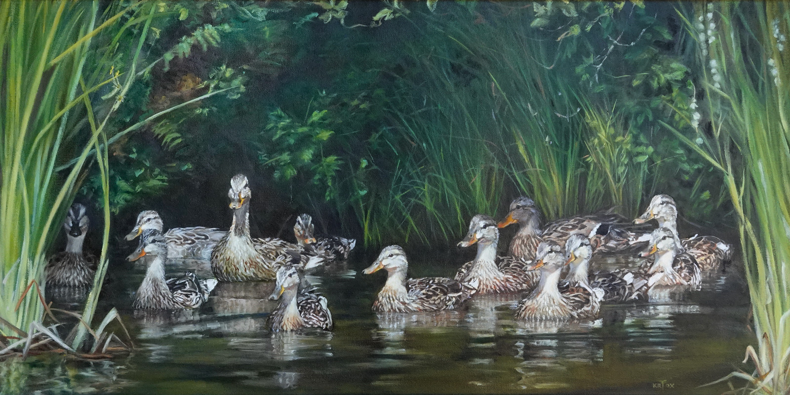 Nestled (13 Female Mallards Under Reeds)